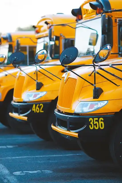 School Safety: Comprehensive Strategies & Disability Inclusion