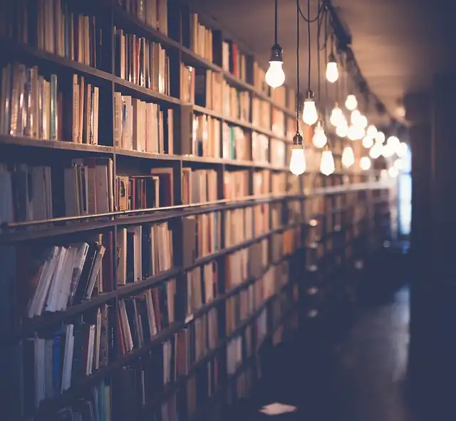 US Book Bans: Censorship Escalates in Schools
