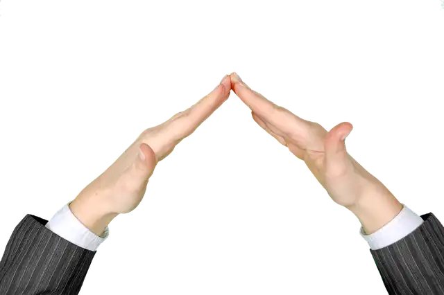 White House Shields Musk in DOGE Case: Trump Link?