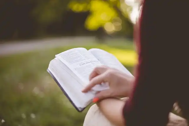 College Enrollment Trends for Recent High School Graduates